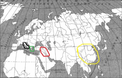 ВПР по истории за 5 класс 2022 года Т.С. Синёва (25 вариантов) — вариант 8